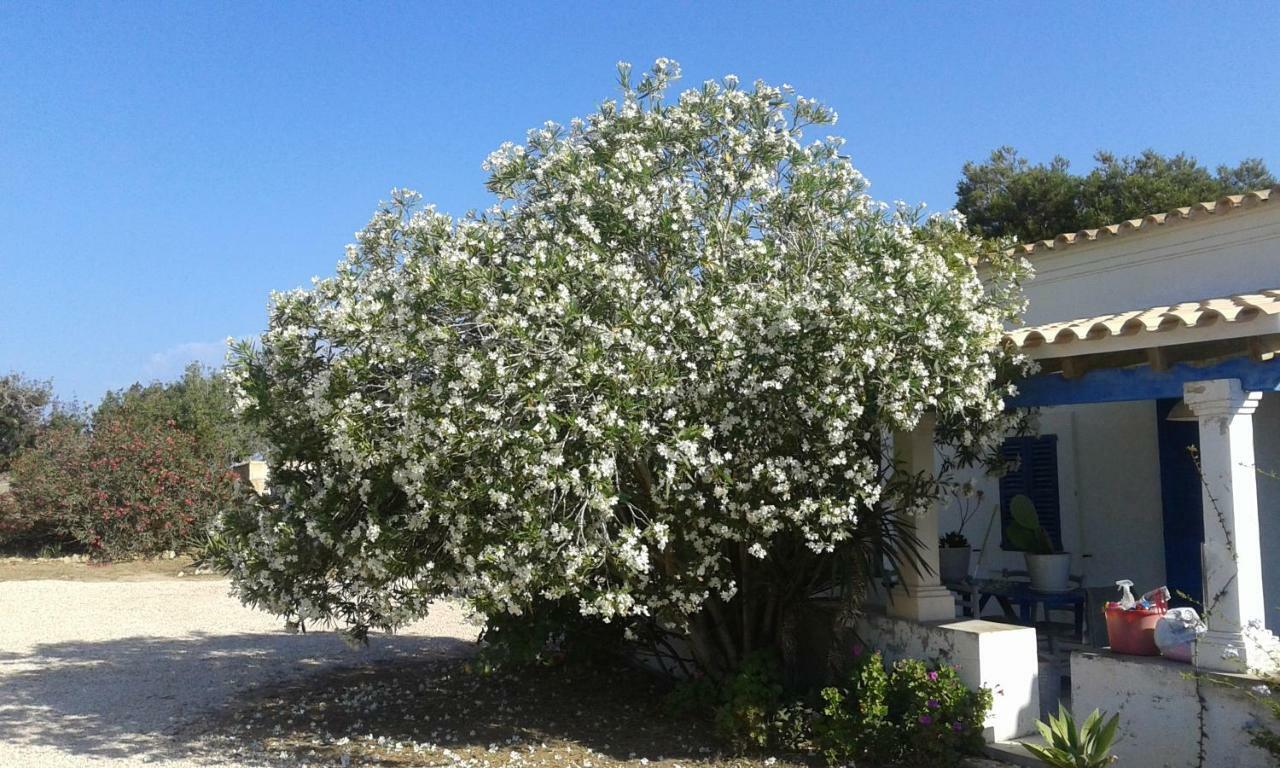 Can Gallet 1 San Francisco Javier Exterior foto